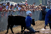 Calf Scramble 2022