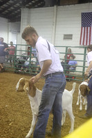 Goat Show